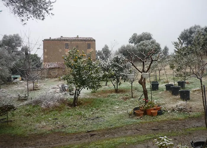 B&B Pietra-Monetta