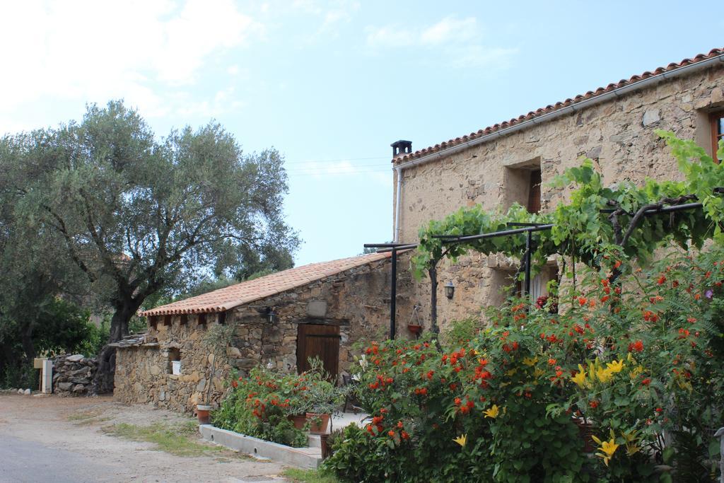 Pietra-monetta Bed and breakfast Pietra Moneta